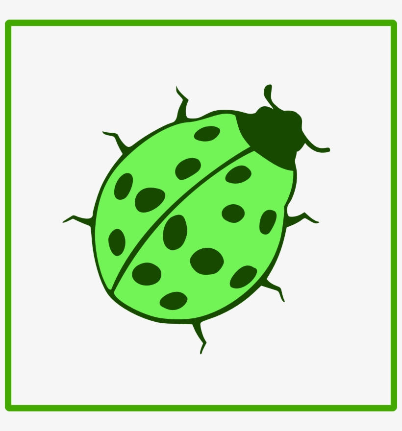 Beetle Icon, transparent png #7047206