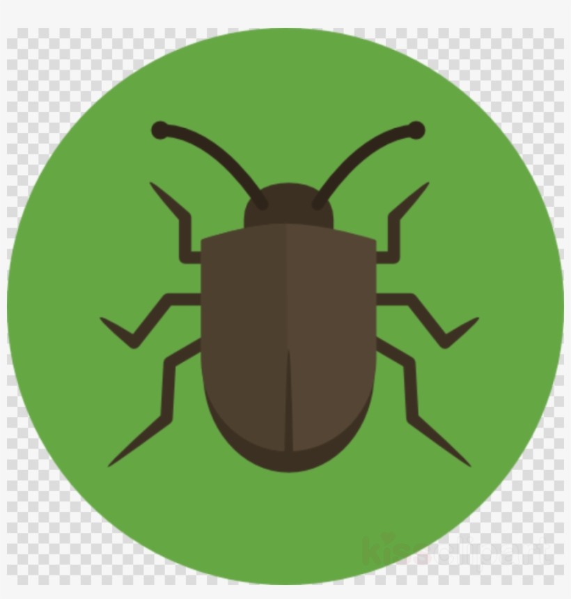 Bug Icon Flat Clipart Beetle Computer Icons, transparent png #7047399