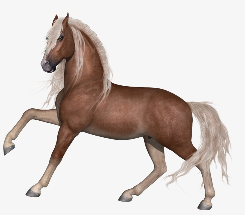 Cheval 2, transparent png #7048069