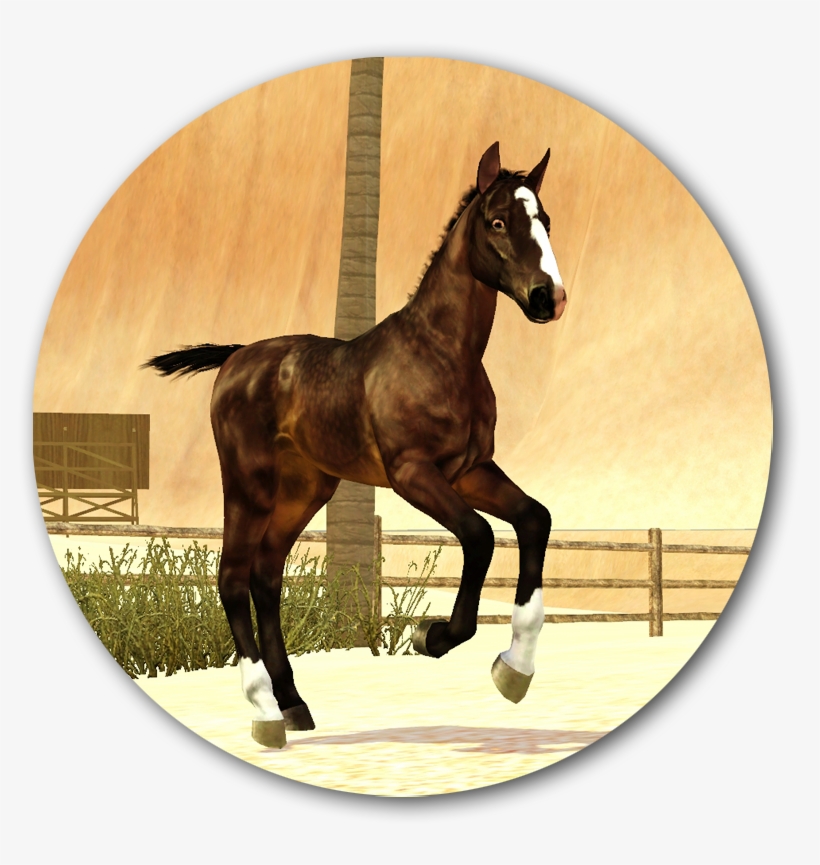 Bild, transparent png #7048197