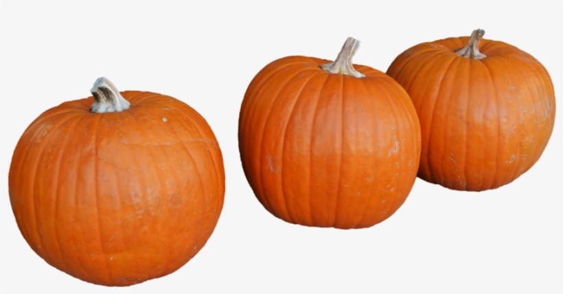 Pumkin Png, transparent png #7048338