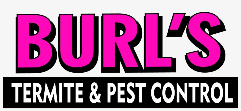 Termite Png, transparent png #7050226
