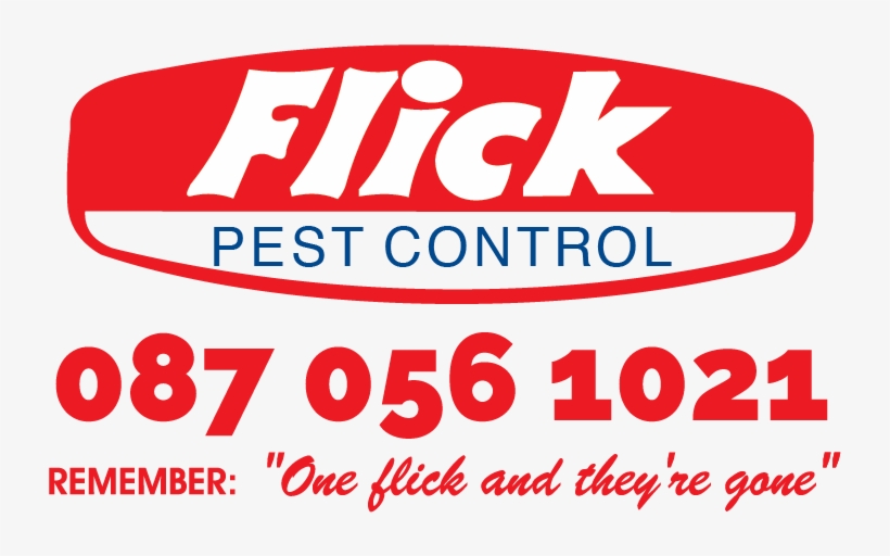Termite Png, transparent png #7050345