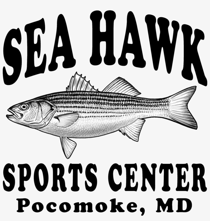 Sea Hawk Sports Center, transparent png #7050413