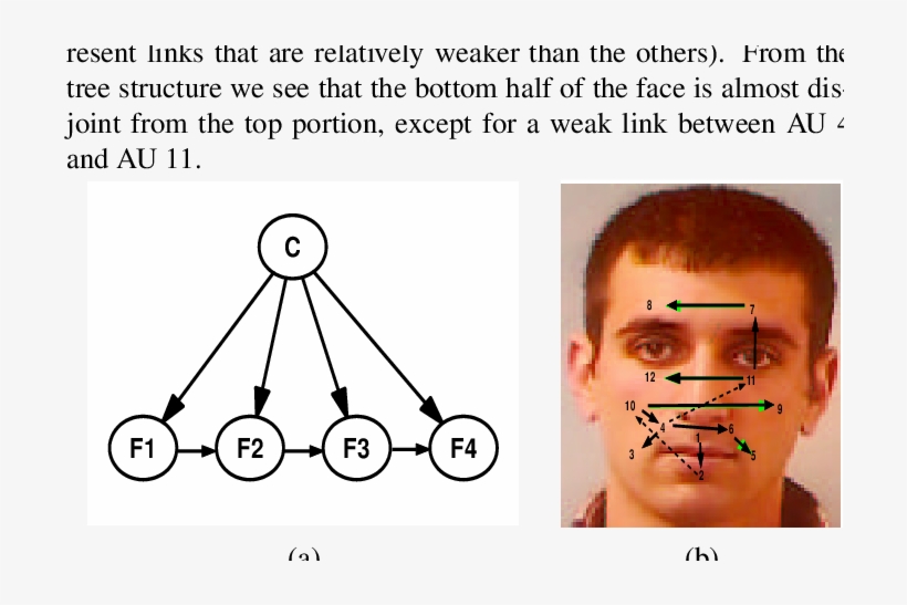 An Example Of A Tan Classifier, transparent png #7054269