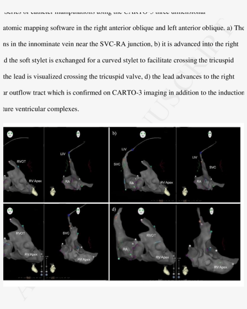 Figure And Video Legends, transparent png #7057717