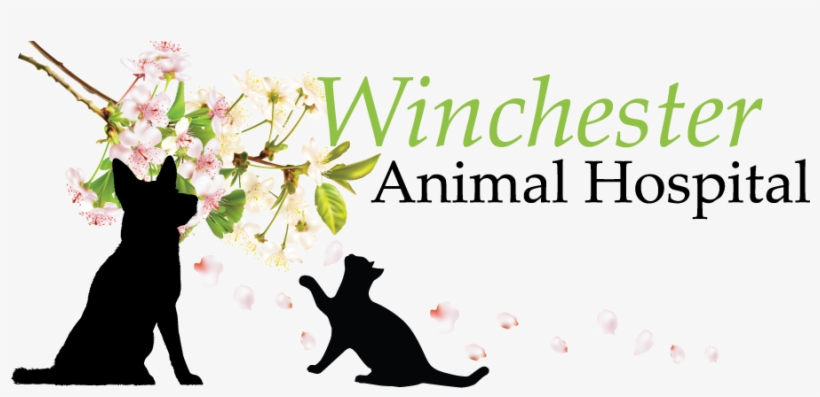 Winchester Png, transparent png #7058606