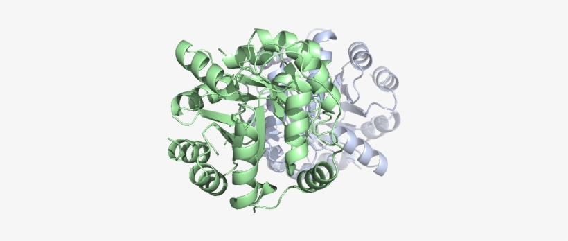 Pill Capsule Png, transparent png #7059458