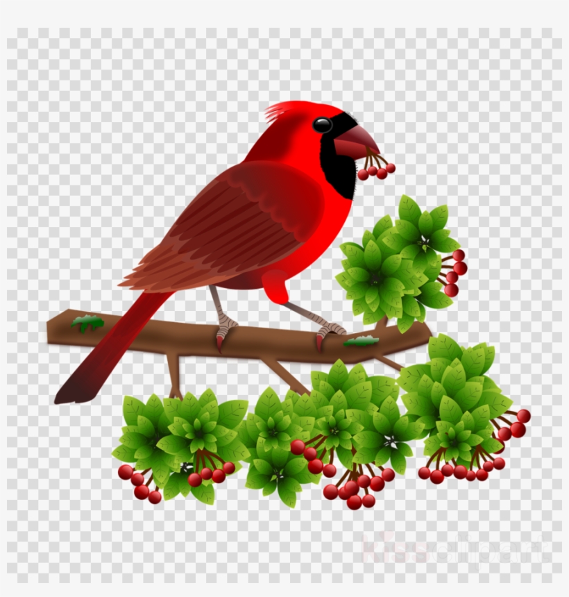 Black Circle Clipart Snow Globes Bird, transparent png #7059464