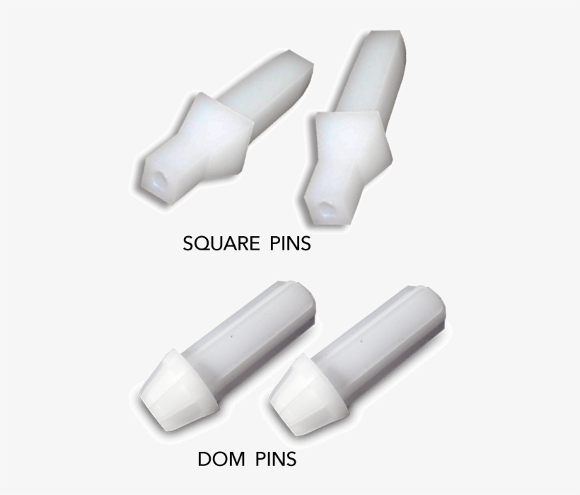 Domandsqpins, transparent png #7062368