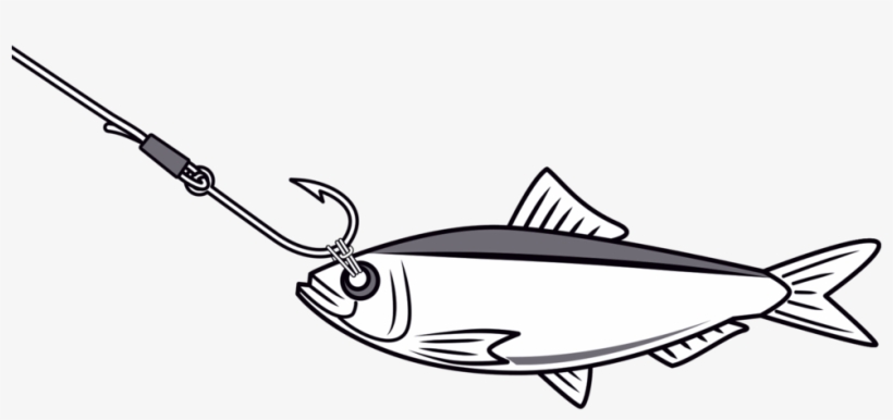 Bridle Live Bait, transparent png #7065278