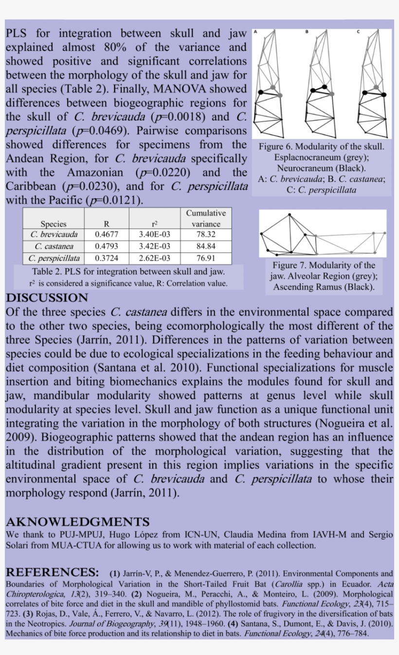 Deformation Grids Of The Jaw For The Three Species, transparent png #7066211