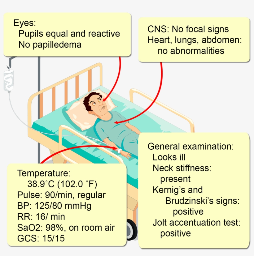 There Is No History Of Allergies, transparent png #7067218