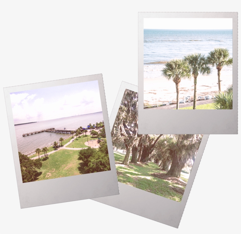 Simons Island, Georgia One Of The Golden Isles Charmed, transparent png #7068830