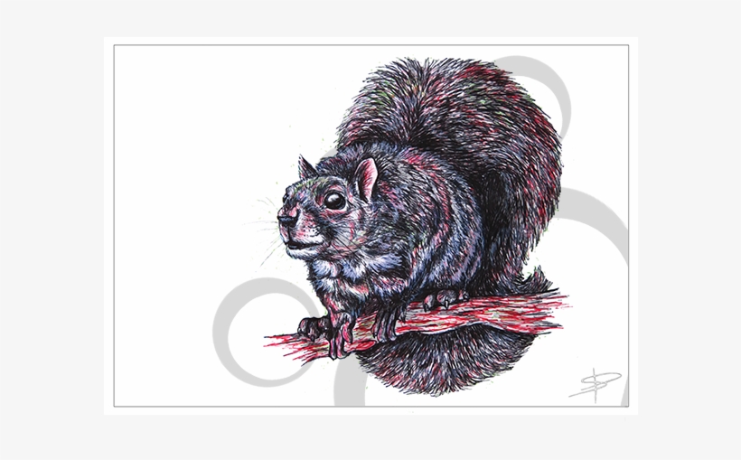 Squirrel Inkling, transparent png #7070098