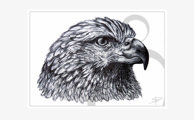 Eagle Inkling, transparent png #7070449