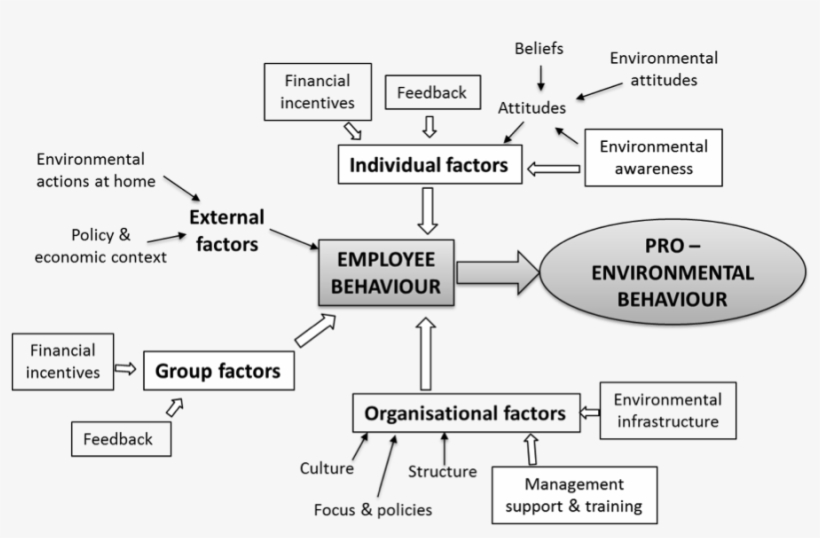 William Young Fig, transparent png #7071457
