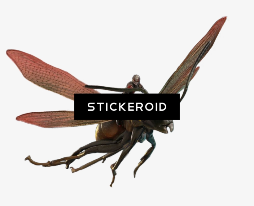 Ant-man, transparent png #7072049