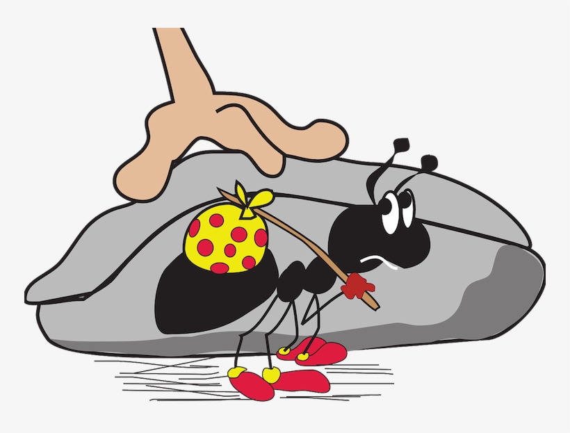 15 Ways To Get Rid Of Ants In The Kitchen Naturally, transparent png #7072238