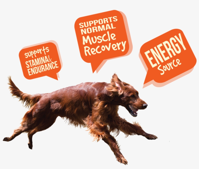 Athlete, transparent png #7074185