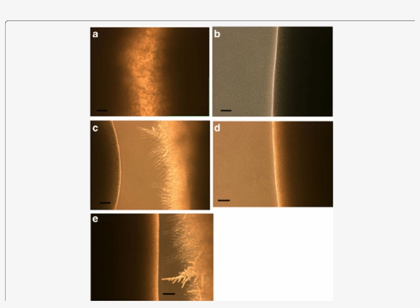 Parallel Streaks 5 Mm Apart, Of C, transparent png #7075386
