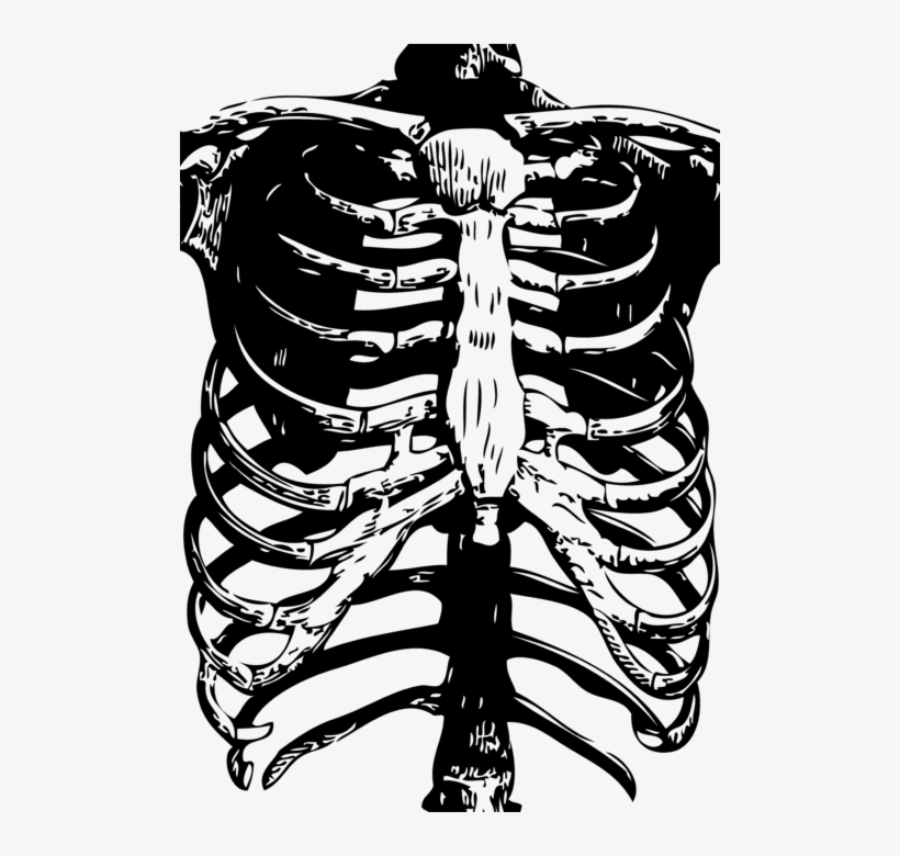 Click And Drag To Re-position The Image, If Desired, transparent png #7076976