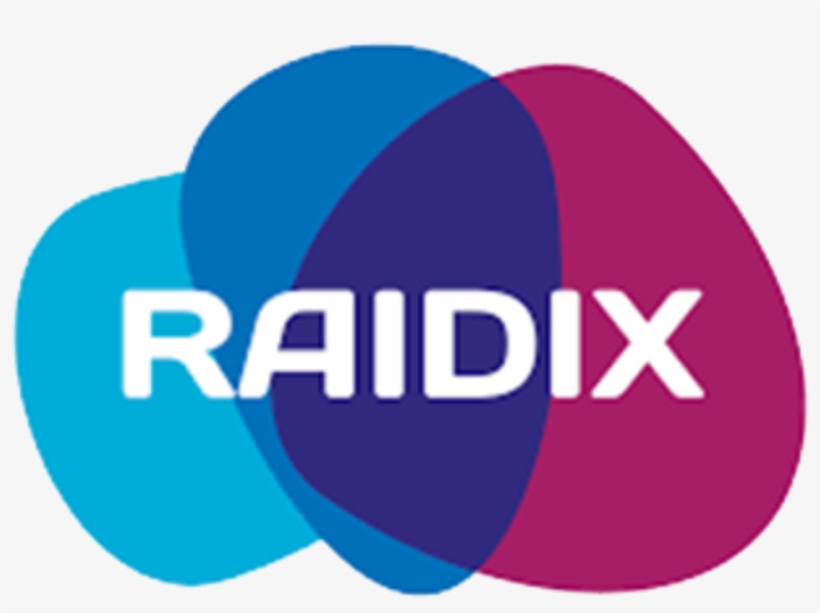 Raidix Is An Innovative Solution Provider And Developer, transparent png #7079603