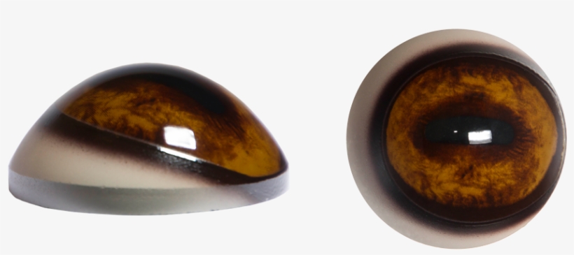 Elk-pr, transparent png #7080080