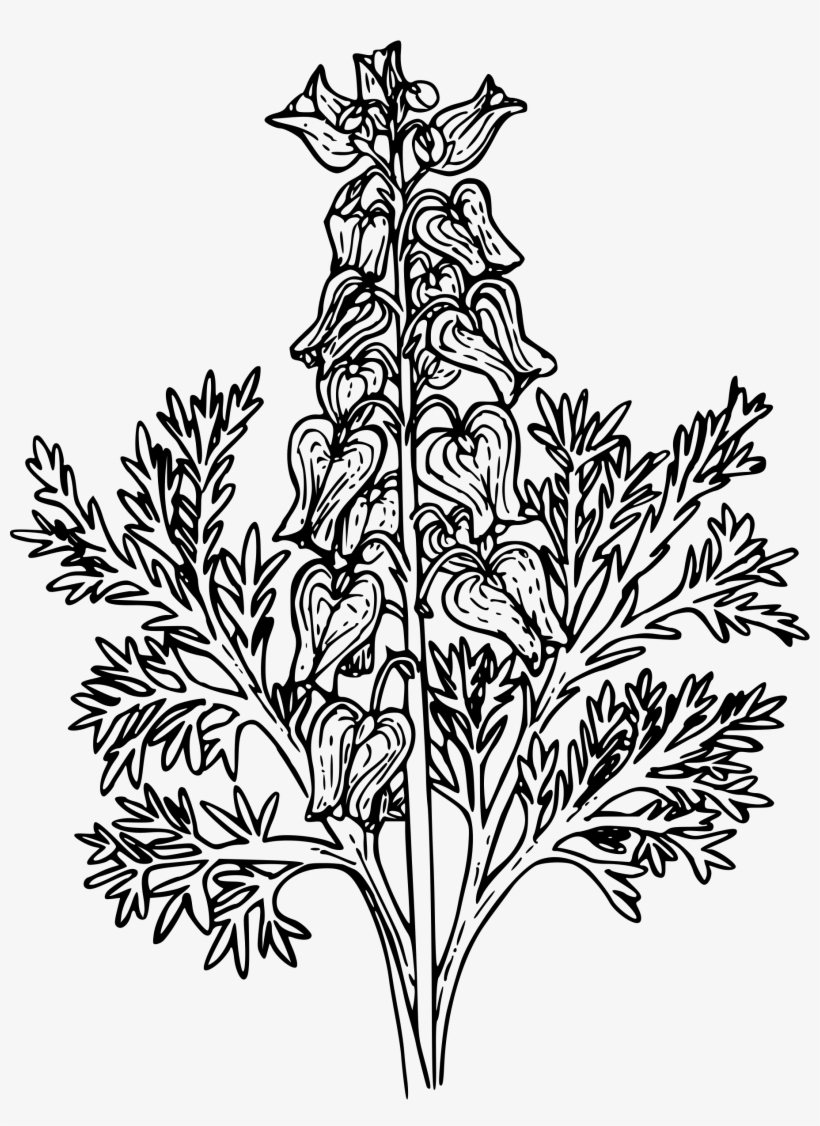 This Free Icons Png Design Of Western Bleeding Heart, transparent png #7080513