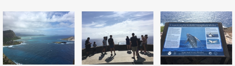 Check Out More Photos From The Hike, transparent png #7082708