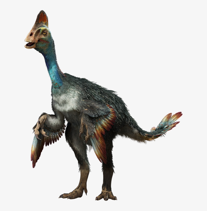 Chirostenotes Is A Genus Of Oviraptorosaurian Dinosaur, transparent png #7084385