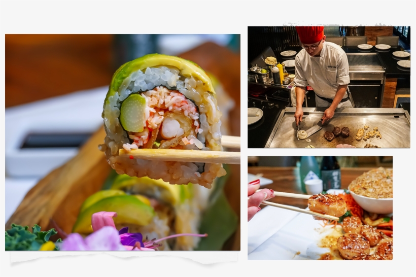 14 Locations Throughout South Florida, transparent png #7086265