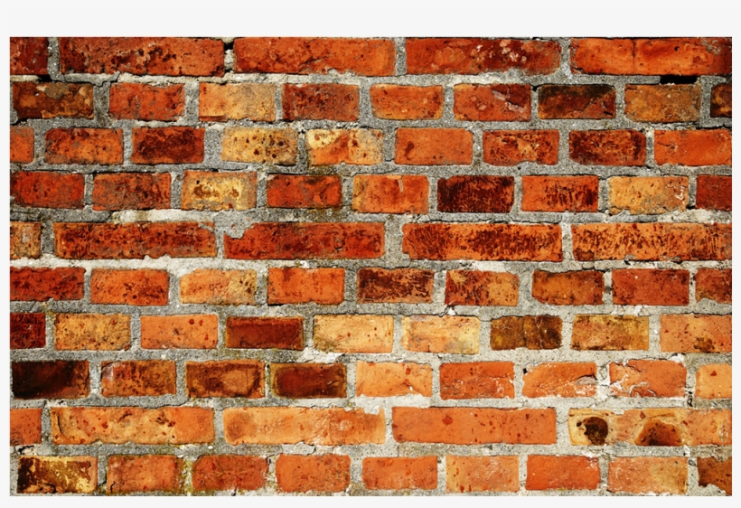 Wall Skins Pulp Art Surfaces Llc Pas, transparent png #7087117