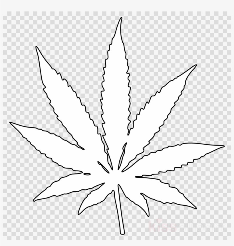 Marijuana Leaf White Png Clipart Cannabis Clip Art, transparent png #7088455