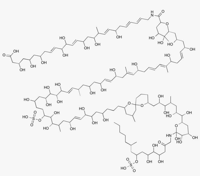 Zooxanthellamide A, transparent png #7088756