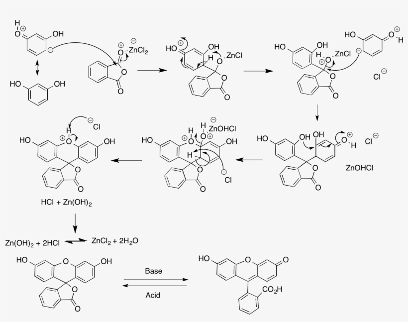 Fluorescein Synthesis, transparent png #7089088