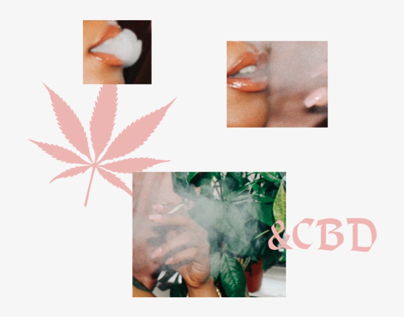 Headerpotential, transparent png #7089447