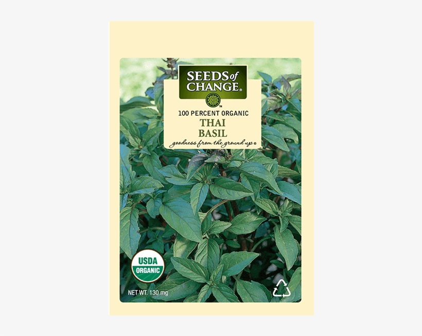 Organic Thai Basil Seeds, transparent png #7092501