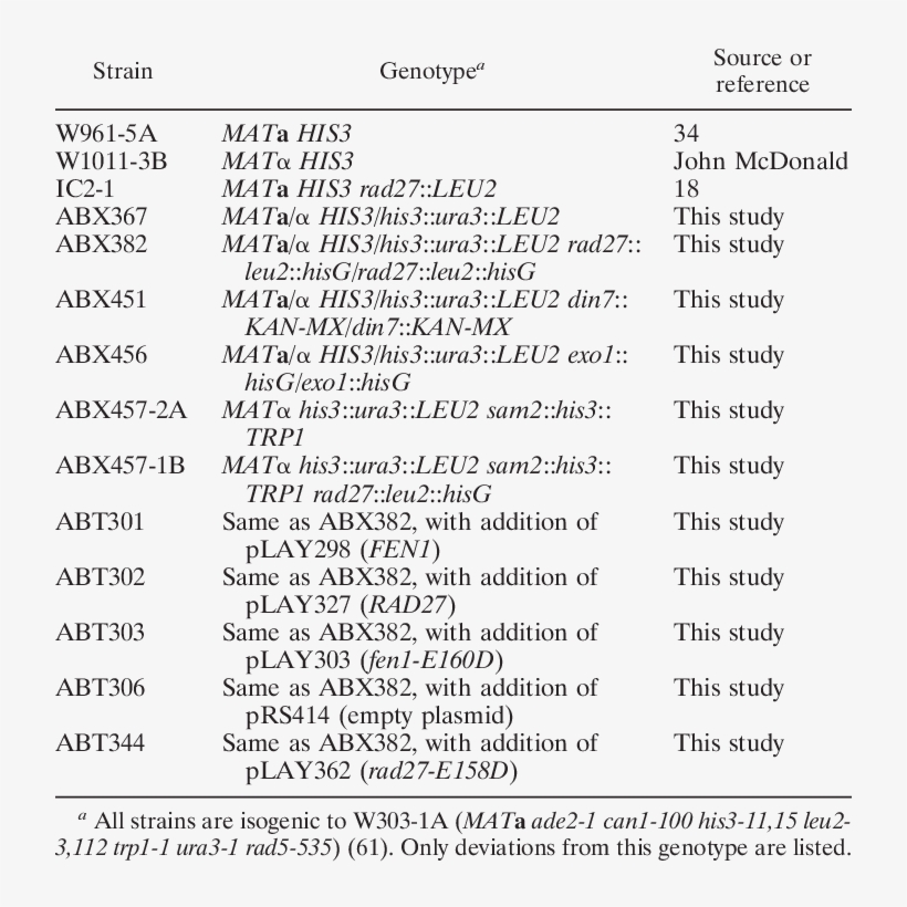 Yeast Strains Used In This Study, transparent png #7094043