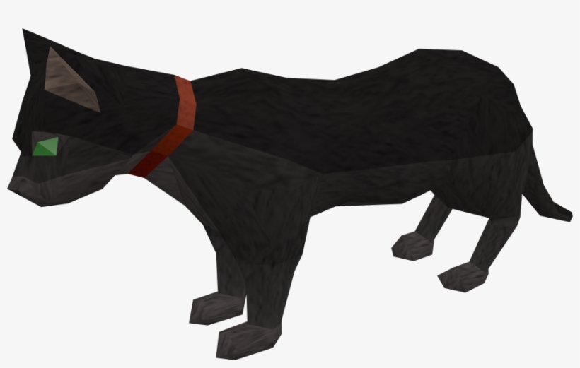Cat, transparent png #7094239