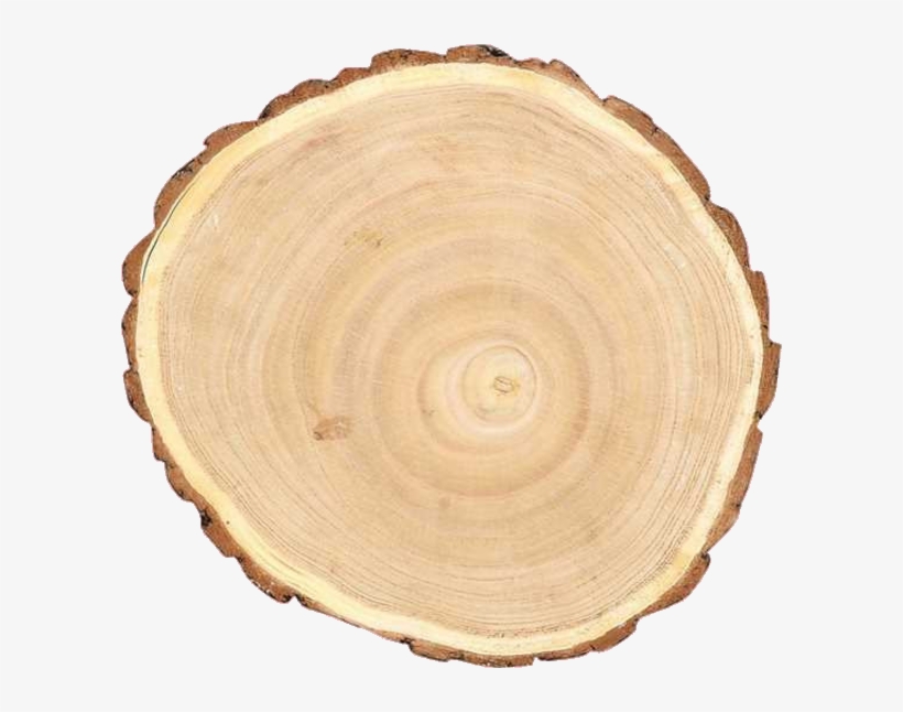 Round Paulownia Wood Slice, transparent png #7094240