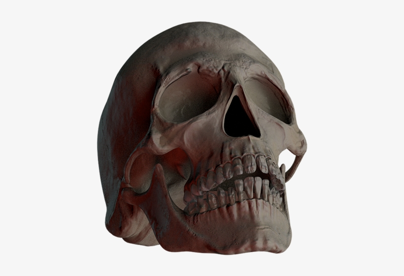 Skull, Skull And Crossbones, Bone, Creepy, Weird, Death, transparent png #7095121