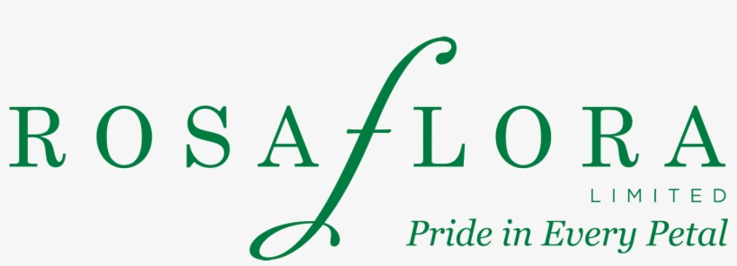 774-0626 Home Products Shipping About Us Flower Care, transparent png #7096839