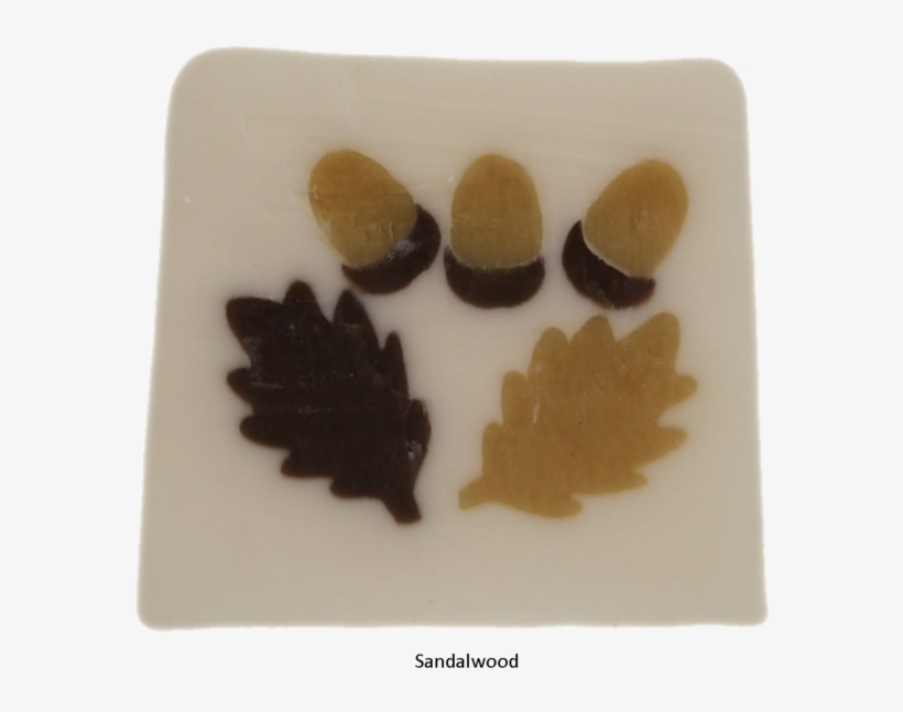 Acorns, transparent png #7097675