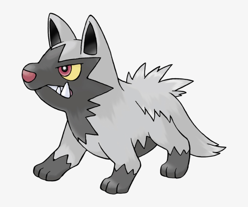 And Poochyena, transparent png #7098707