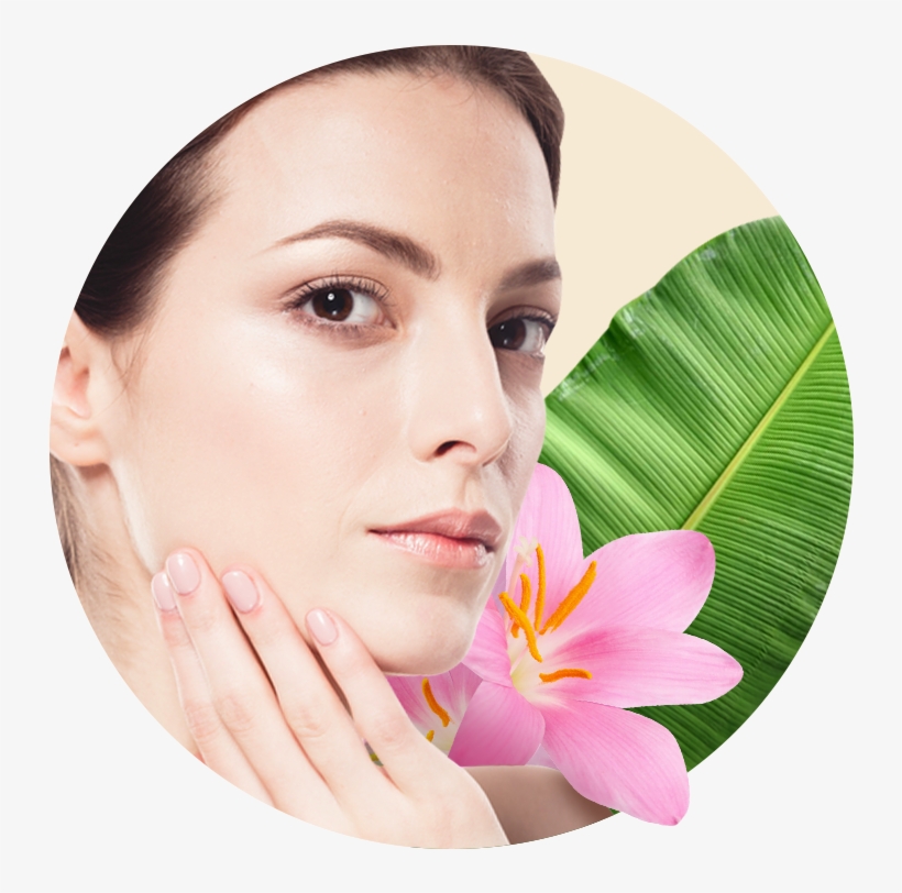 Nose, transparent png #7098918