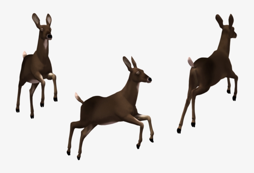 Deer Doe 02 By Free Stock B, transparent png #7099572