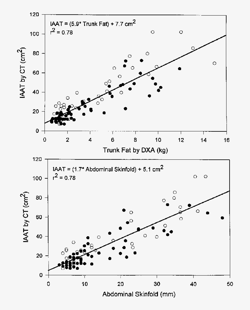 Correlations Between Intra Abdominal Adipose Tissue, transparent png #7099978