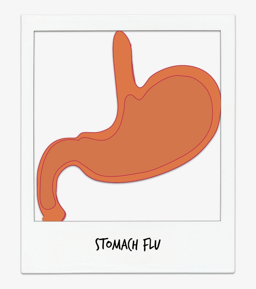 First Med Urgent Care - First Med Urgent Care, Llc, transparent png #710106