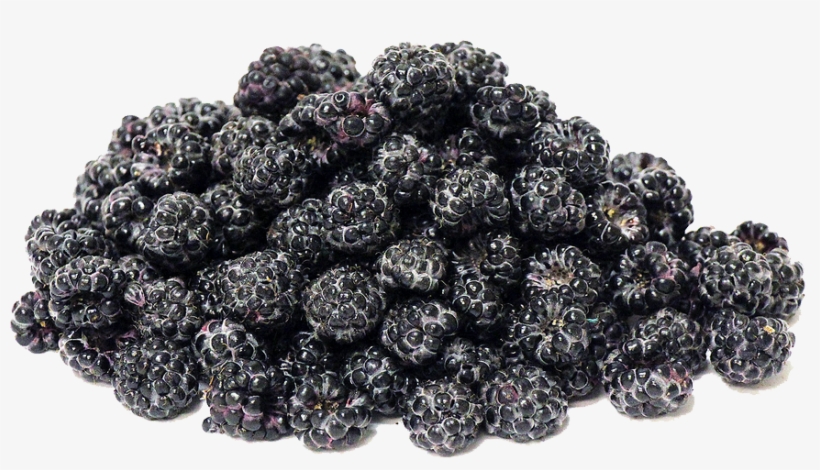 Black Raspberries Png Transparent Image - Silk Road Gunpowder, transparent png #711346